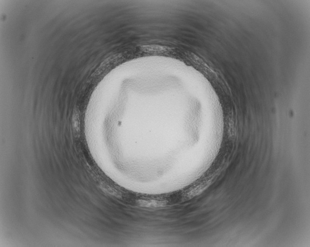 X0000086080561200704202154