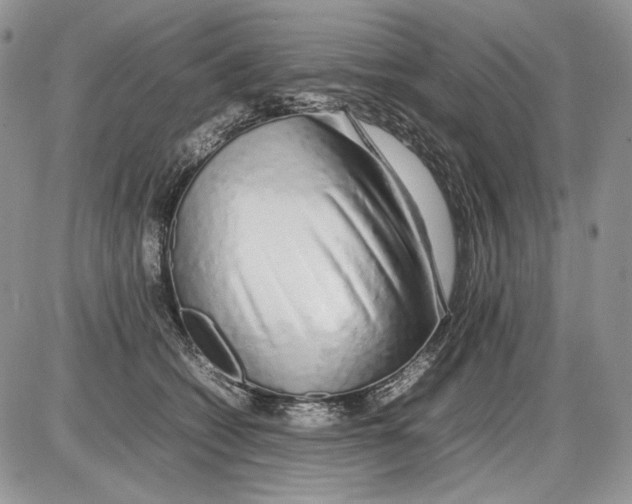 X0000086080562200704202154