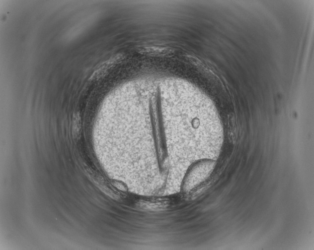 X0000086080563200704202154