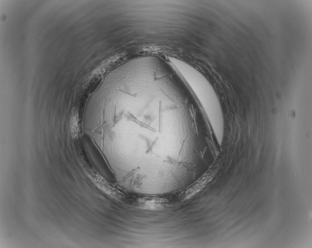 X0000086080564200704202154
