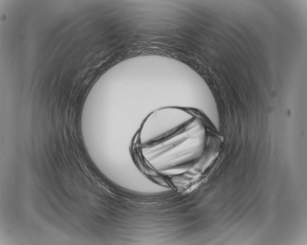 X0000086080566200704202154