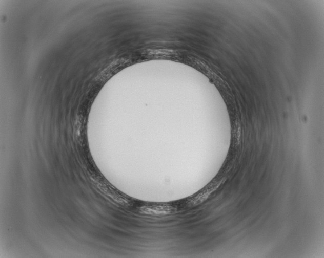 X0000086080567200704202154