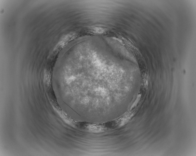 X0000086080568200704202154