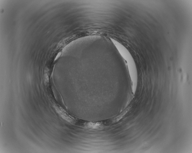 X0000086080570200704202154