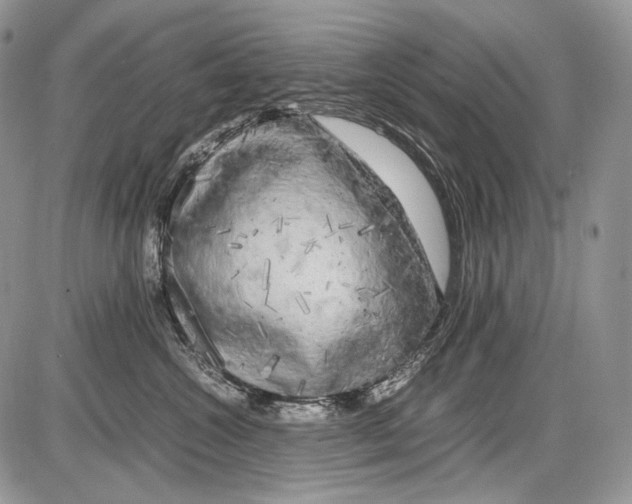 X0000086080572200704202154