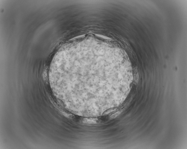 X0000086080573200704202154