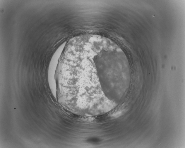 X0000086080576200704202154