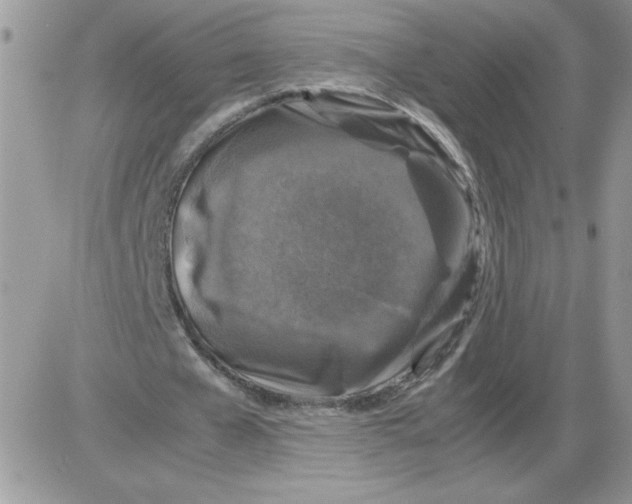 X0000086080577200704202153