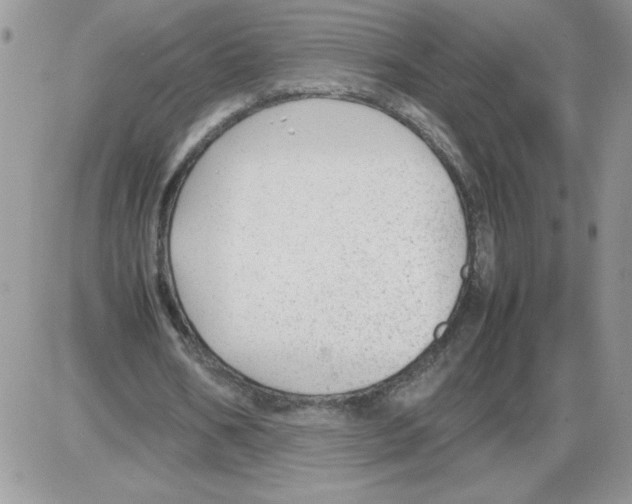 X0000086080578200704202153