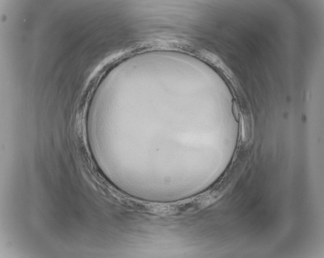 X0000086080579200704202153