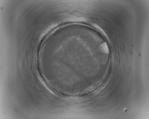 X0000086080581200704202153