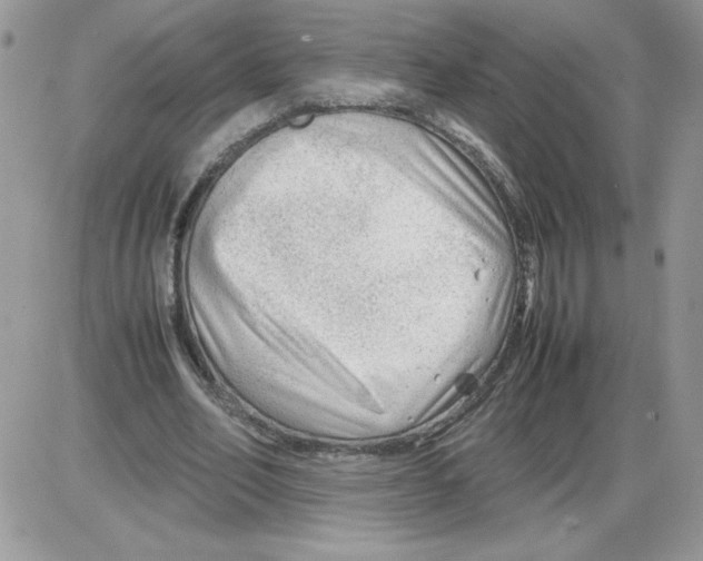 X0000086080582200704202153