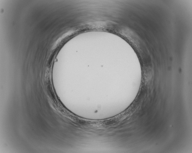 X0000086080583200704202153