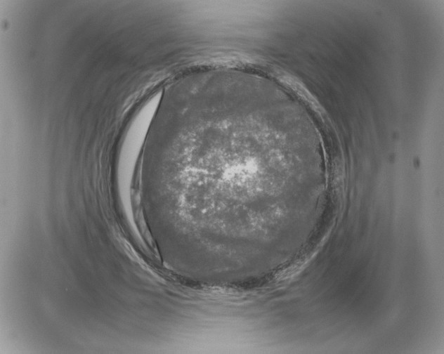 X0000086080585200704202153