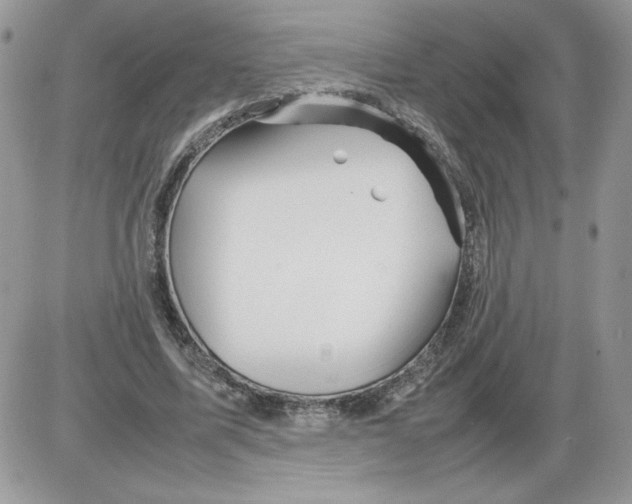 X0000086080587200704202153