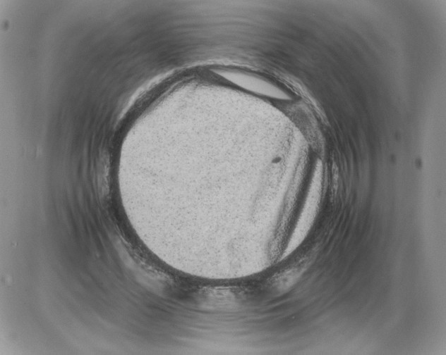 X0000086080588200704202153