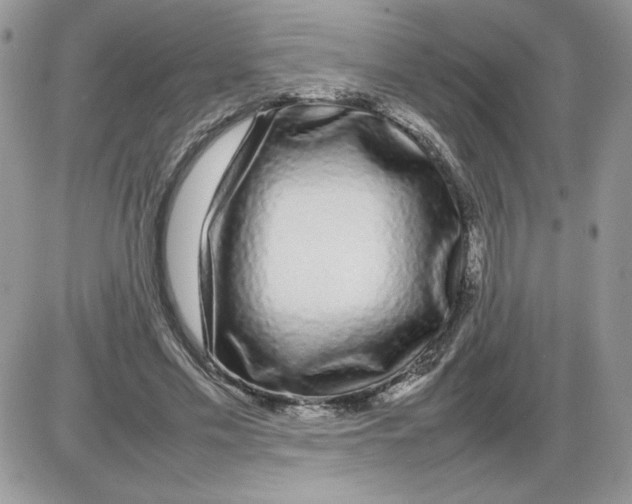 X0000086080589200704202153