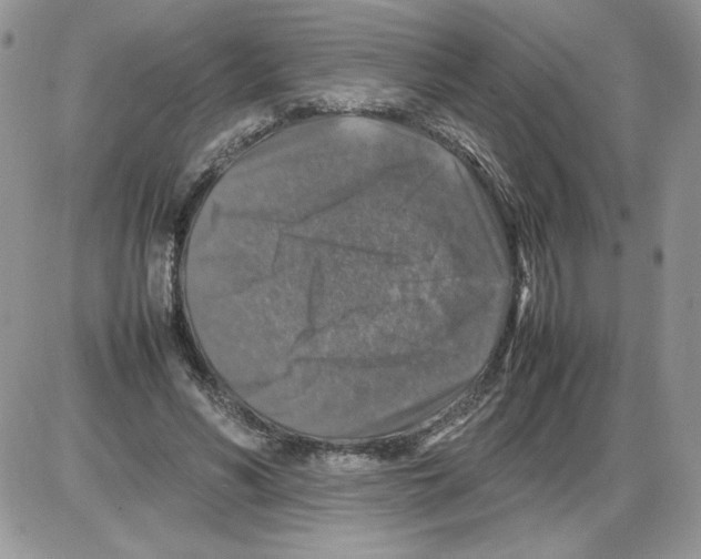 X0000086080590200704202153