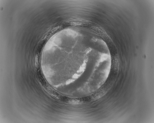 X0000086080598200704202153