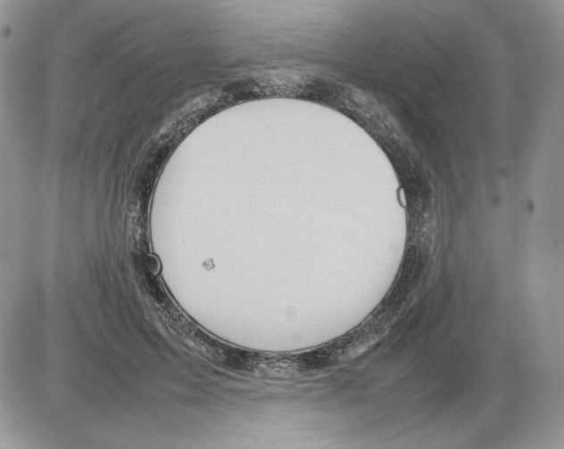 X0000086080599200704202153