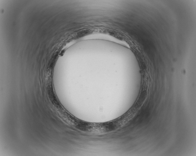 X0000086080601200704202153