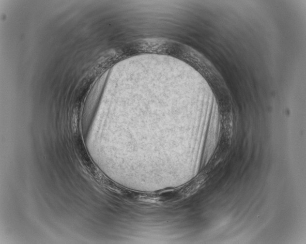 X0000086080602200704202153