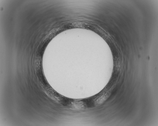 X0000086080603200704202153