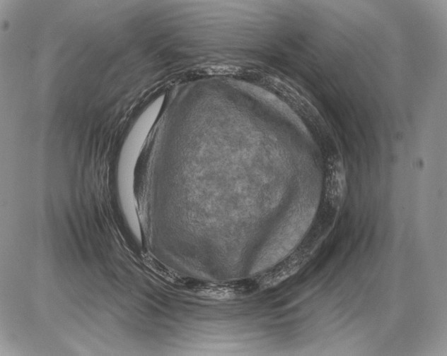 X0000086080604200704202153