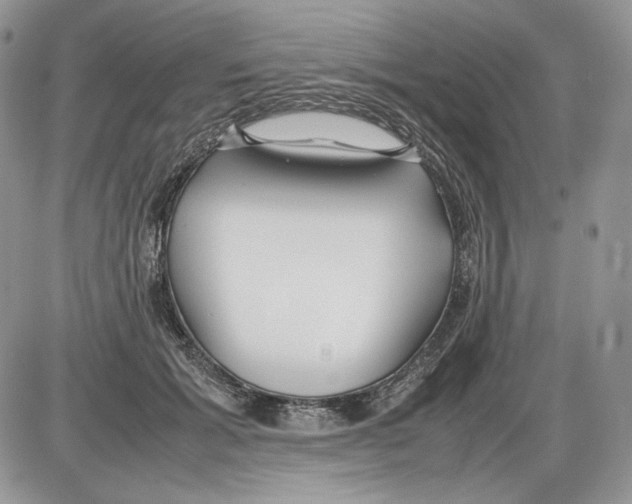 X0000086080605200704202153