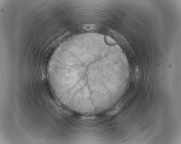 X0000086080606200704202153