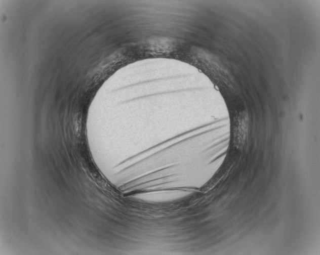 X0000086080608200704202153