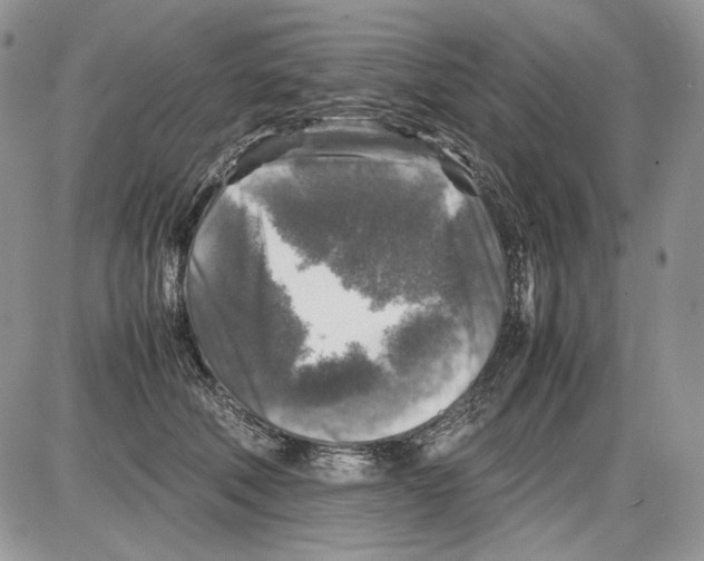 X0000086080610200704202153