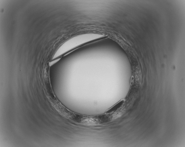 X0000086080611200704202153