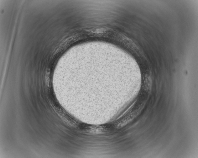 X0000086080612200704202153