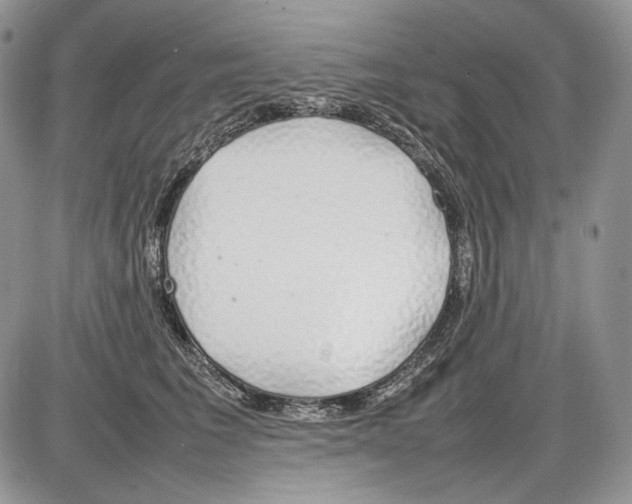 X0000086080613200704202153