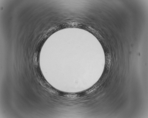 X0000086080615200704202153