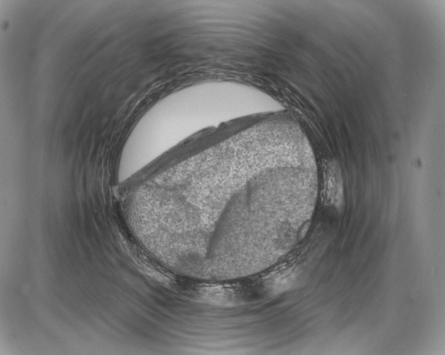 X0000086080616200704202153