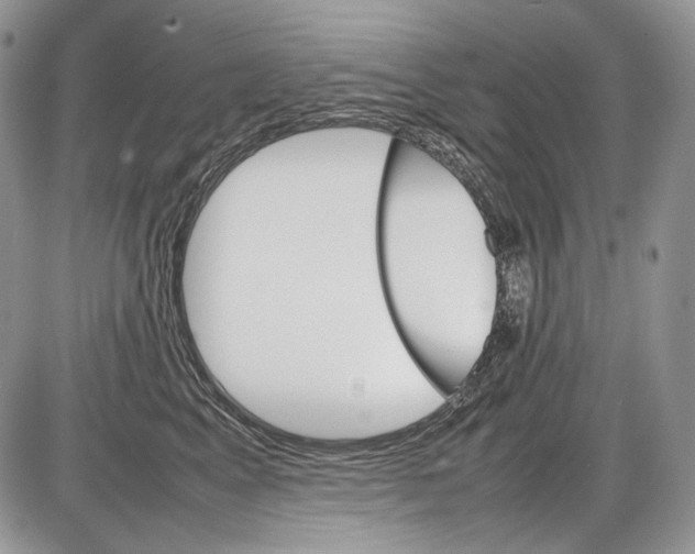 X0000086080617200704202153