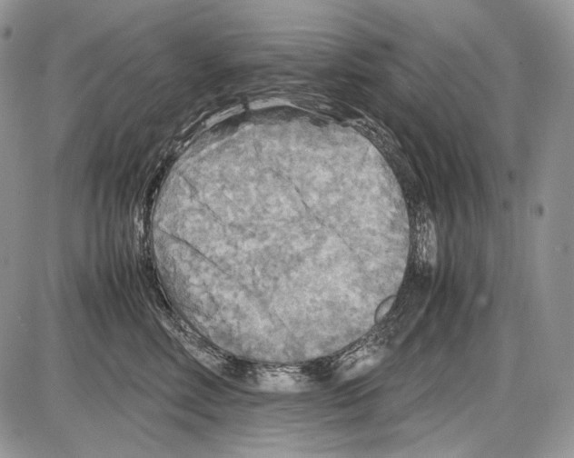 X0000086080618200704202153