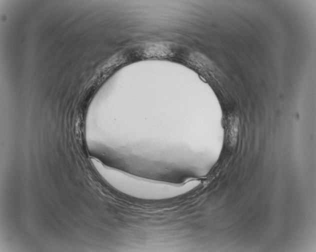 X0000086080619200704202153