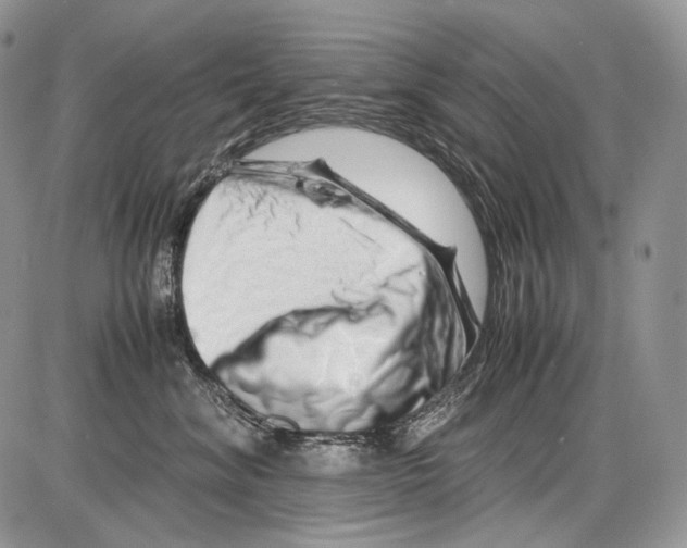 X0000086080620200704202153