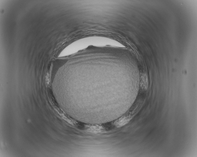 X0000086080621200704202153