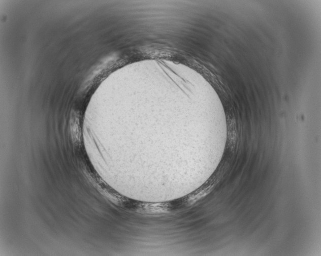 X0000086080622200704202153