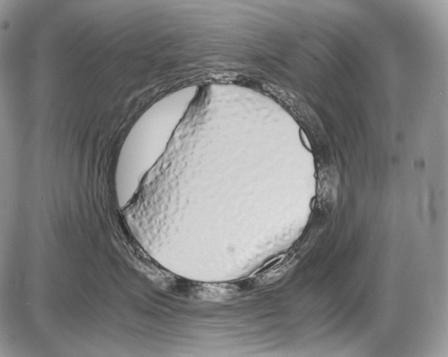 X0000086080623200704202153