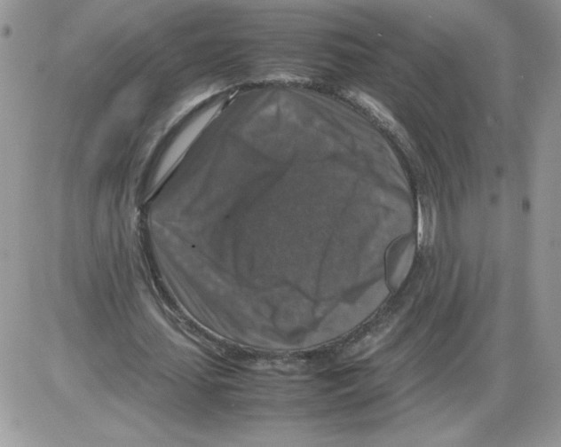 X0000086080627200704202152