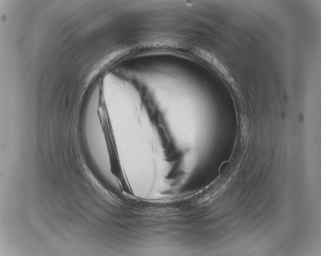 X0000086080629200704202152