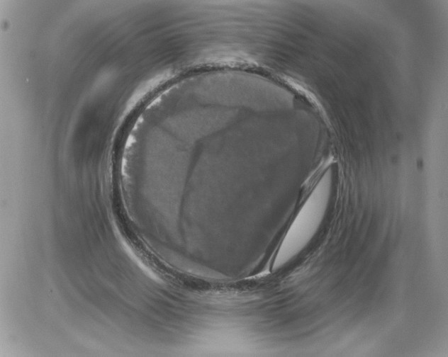 X0000086080630200704202152