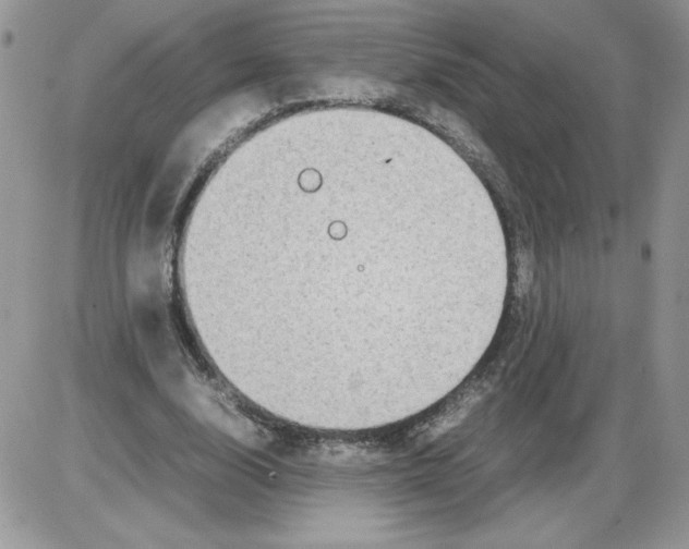 X0000086080632200704202152