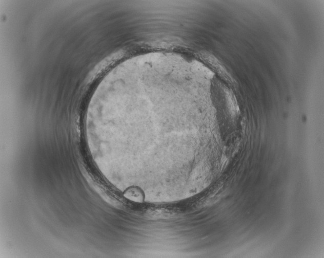 X0000086080634200704202152