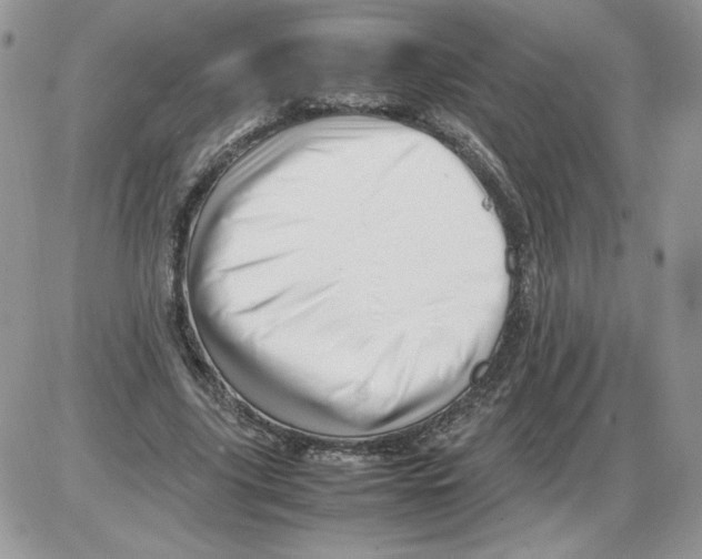 X0000086080635200704202152